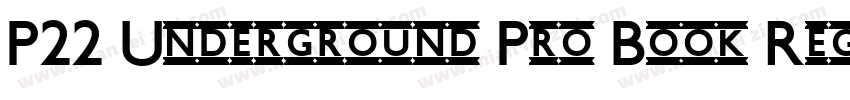 P22 Underground Pro Book Regular字体转换